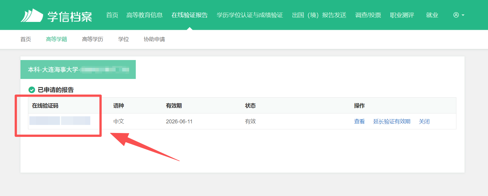 Step 4: 打开报告后,找到一串 16 位的字母/数字组合,这就是在线验证码。